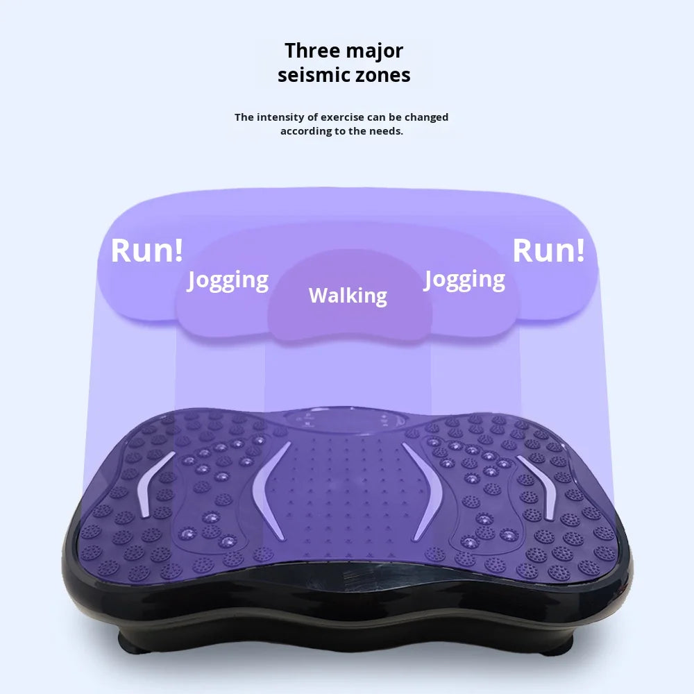 High Quality Home Fitness Vibration Plate Magnetic Therapy Sport Massagers for Fat Burning Exercise Vertical Direction
